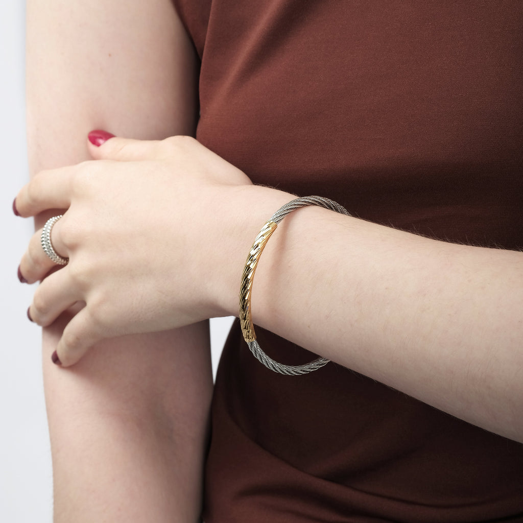 Tam Bangle (Two-Tone Stainless Steel)